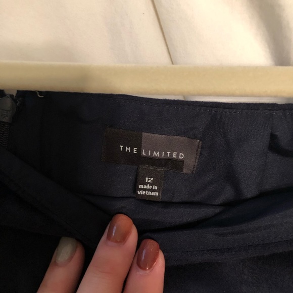 The Limited Faux Suede Mini Skirt - Picture 3 of 3